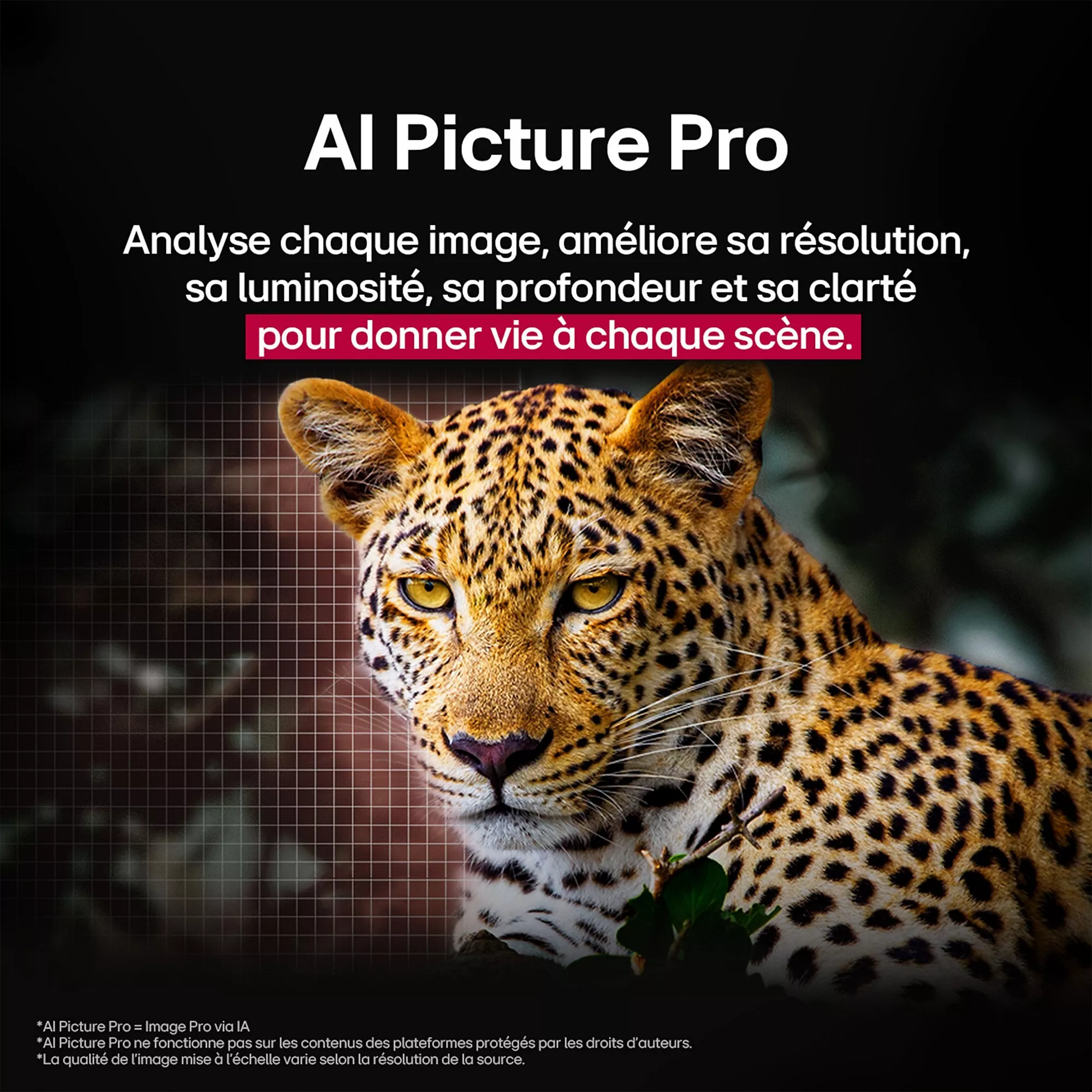 TV QLED ESSENTIELB 43QLED306-43 pouces (109cm) – Image 12